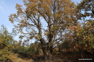 Piano Bello-Monte Fontane